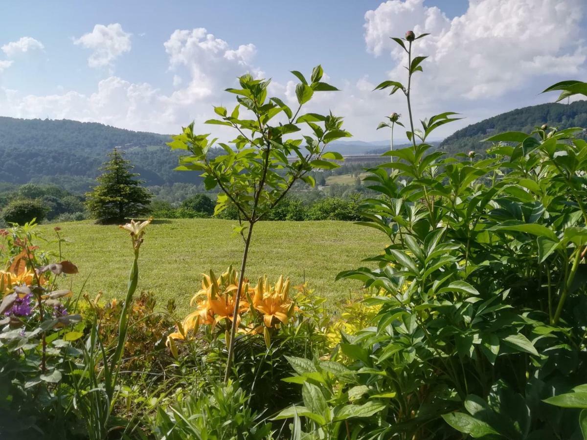 Noclegi Nad Solina Solina  Exterior foto